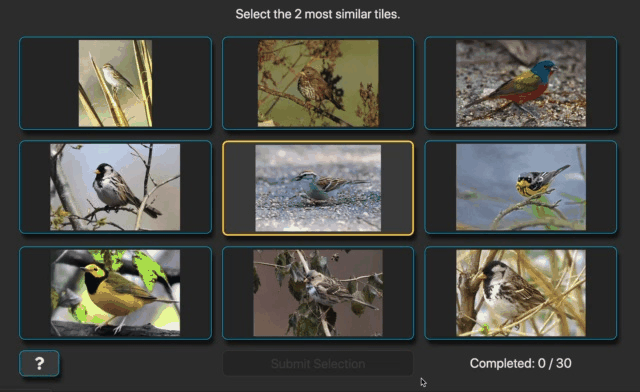 Animated GIF showing how participants select reference images given a query image.