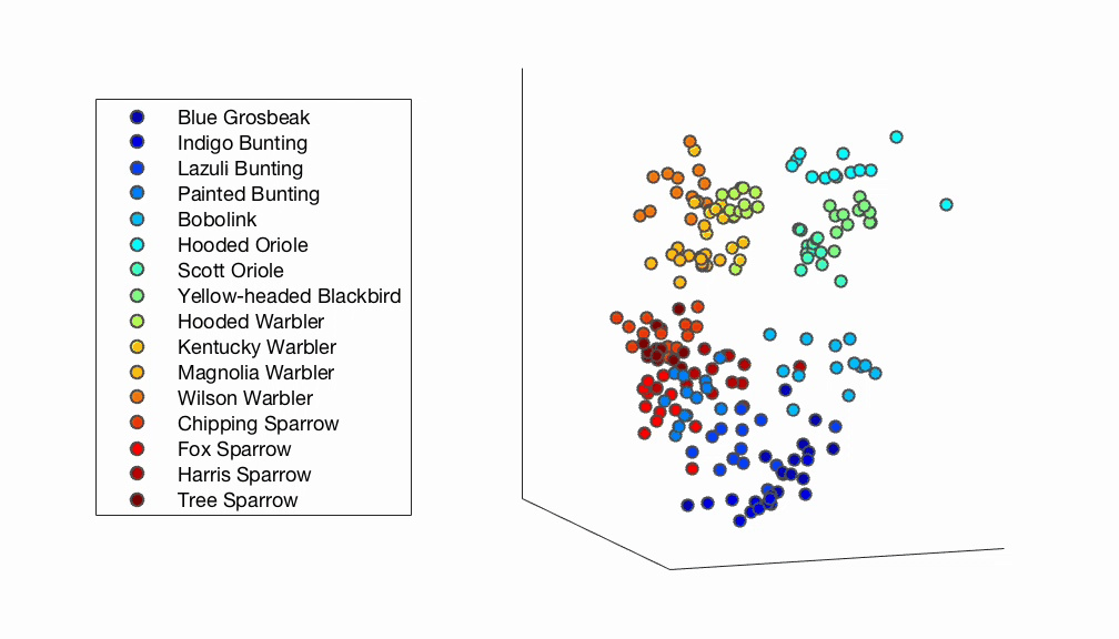 Animated GIF showing a 3D embedding of how people perceive images of birds. The embedding shows that people tend to percieve birds of the same species and family as more similar that images of birds from different species and families.