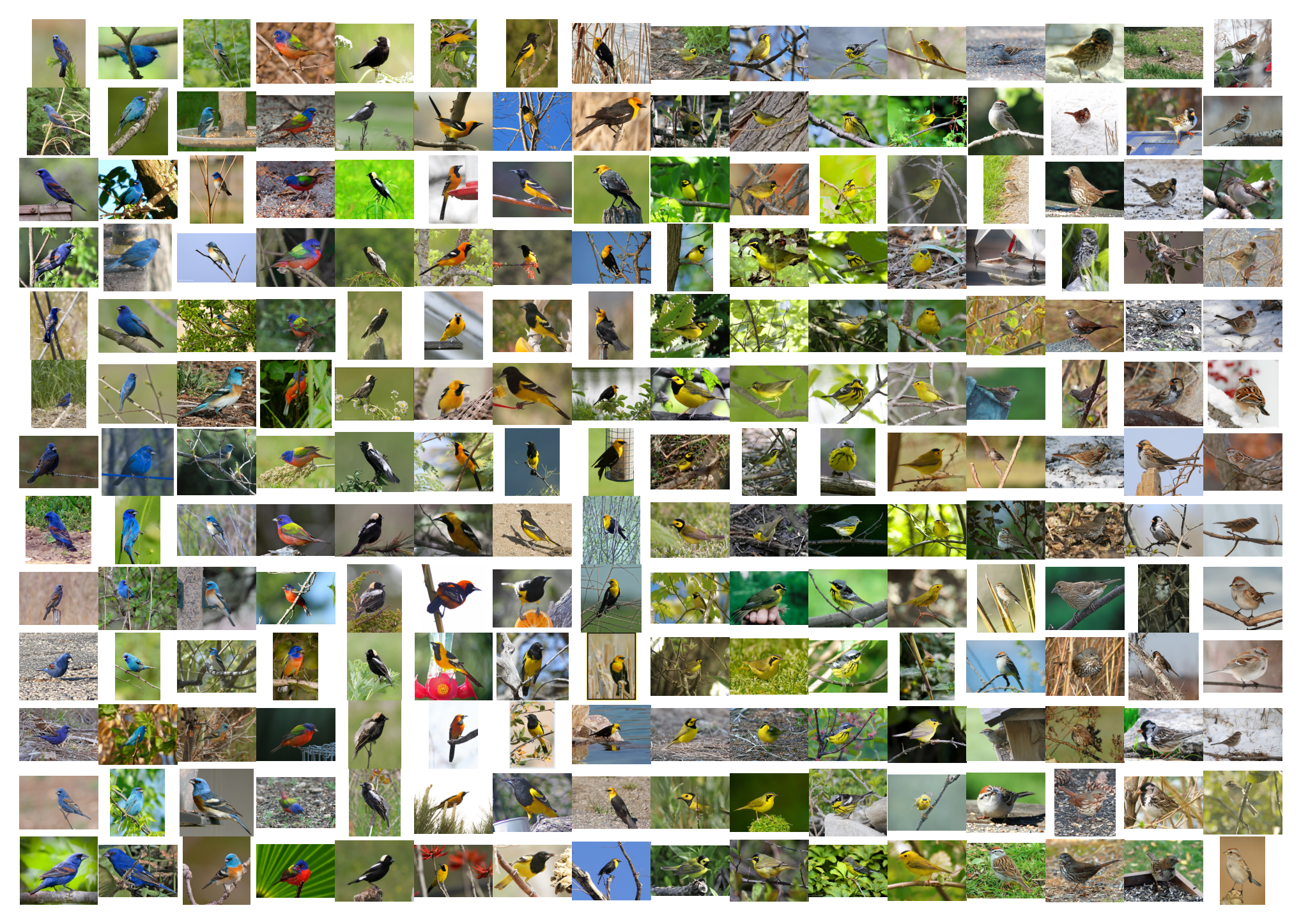 A 13-by-12 grid of thumbnail images.