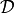 \mathcal{D}